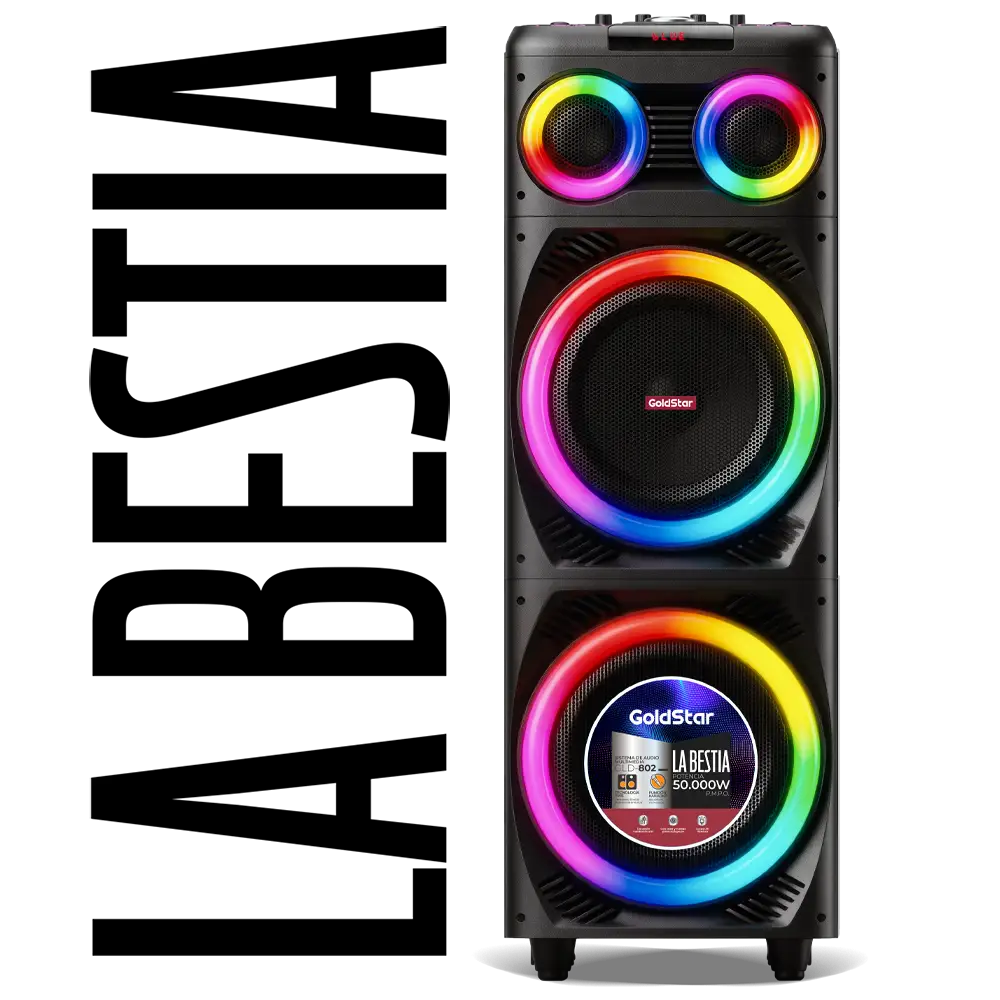 Sistema de Audio multimedia LA BESTIA